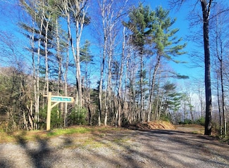 111 Digging Seng Trail, Waynesville, NC 28785