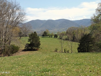 855 Willow Springs Rd, Elizabethton, TN 37643