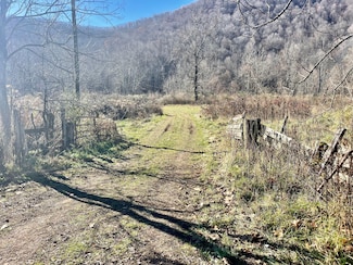 43 Becky Creek, Huttonsville, WV 26273