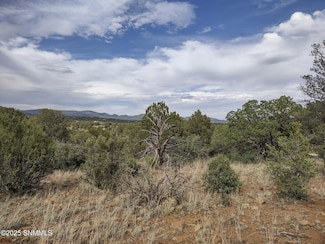 TBD ''A'' Xyz Ranch Rd, Silver City, NM 88061