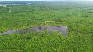 County Rd 166, Houston, MS 38841