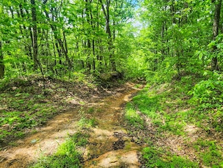 0 Buffalo Rd Unit 11503602, Oneida, TN 37841