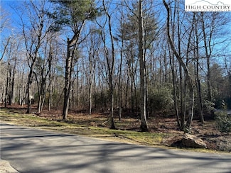 Lot W25 Tioga Trail, Glenville, NC 28736