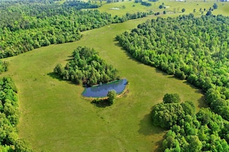 000 Frosty Knapp Rd, Pineville, AR 72566