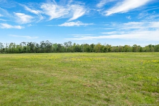 0 171 Hwy, Moss Bluff, LA