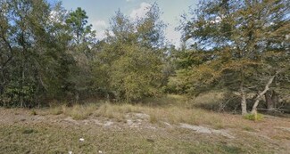 7116 Alloy St, Webster, FL 33597