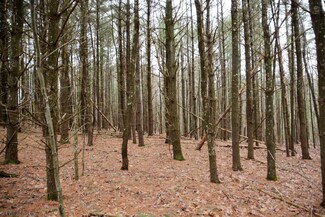 0 E Mattie Rd, Everett, PA 15537