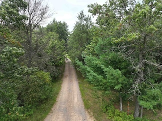 10 Acres Beaver Ave, Hancock, WI 54943
