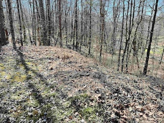 TBD Red Oak Ln, Elkins, WV 26241