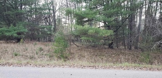 0 Robindale Way Unit 50177219, Butman Township, MI 48624