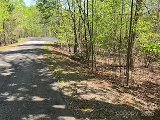 Lot 14 Back Hollow Dr, Lake Lure, NC 28746