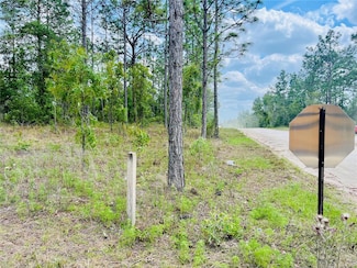 0000 NE 131st Terrace, Williston Highlands, FL 32696