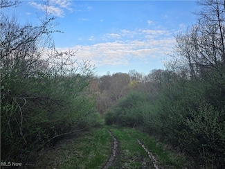 0 Township Road 375, Perry Township, OH 43844