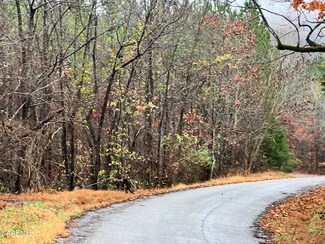Lot 7 Hampton Ln, Decatur, TN 37322