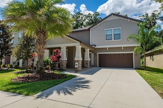 11807 Twilight Darner Place, Riverview, FL 33569