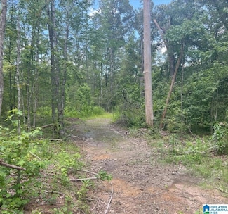 000 Fleming Rd, Vincent, AL 35178