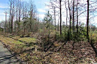 TBD Judy St, Andrews, SC 29510