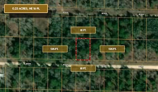 0 NE 16 Place, Williston Highlands, FL 32696