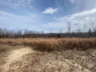 TBD Zone Ridge Ln, Flippin, AR 72687