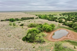 0 County Road 2, Turkey, TX 79261