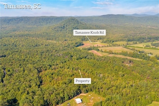 00 Walking Tall Ridge, Tamassee, SC 29686