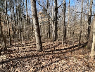 55-56 Old Tobaccoport Rd, Bumpus Mills, TN 37028