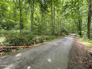 000 Hopkins Rd, Cosby, TN 37722