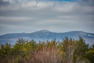 32 Grandview Dr Unit 13, Bristol, NH 03222