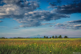 0000 Big Sky Trail Unit WP001, Elbert, CO 80106