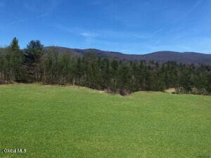 L35 West Rd, Stephentown, NY 12168