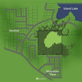 0 XXX Elderberry St, Shelton, WA 98584