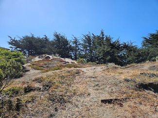 280 Driftwood Ave, Salmon Creek, CA 94923