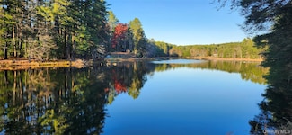 40 Beaver Brook Rd, Yulan, NY 12792