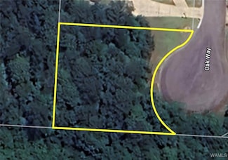 4600 Oak Way, Northport, AL 35473