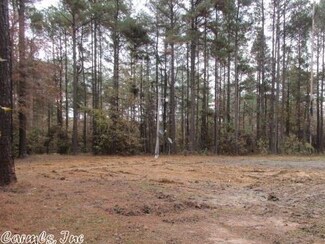 495 Grant County 19, Grapevine, AR 72057