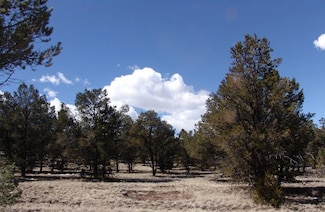 0 Unit I Lot 30, Datil, NM 87821