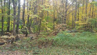 Lot #17 Poplar Unit 17, Jay, VT 05859