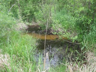 5 Ac Edgewood Dr, Easton, WI 53910