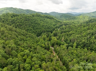 99999 Gunter Town Rd, Marshall, NC 28753