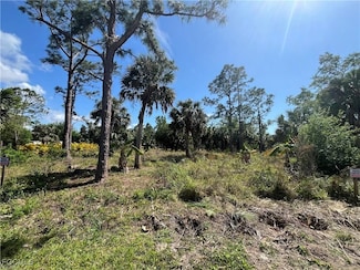 26219 Flower Rd, Punta Gorda, FL 33955