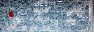 TBD NE 204th Ln, Fort Mc Coy, FL 32134