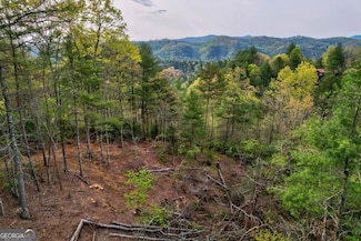 Lot 53 Community Hill Dr Unit 53, Blue Ridge, GA 30513