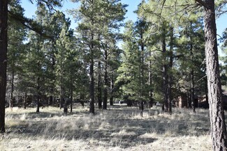 2910 W Castle Pines Dr Unit 137, Williams, AZ 86046