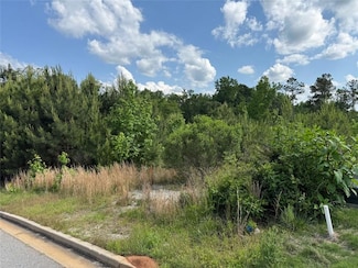 40 Arbor Springs Pkwy, Newnan, GA 30265