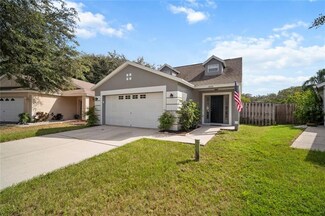 14934 Deer Meadow Dr, Lutz, FL 33559