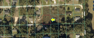 0000 NW 124th St, Anthony, FL 32113