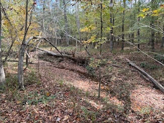 0 Maria Ln Unit LotWP001 23604157, Ellerslie, GA 31807