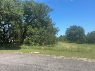 32020 Dove Trail, Whitney, TX 76692