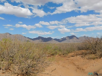 0 Bur Rd SE, Deming, NM 88030