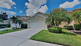 2429 Silvermoss Dr, Wesley Chapel, FL 33544
